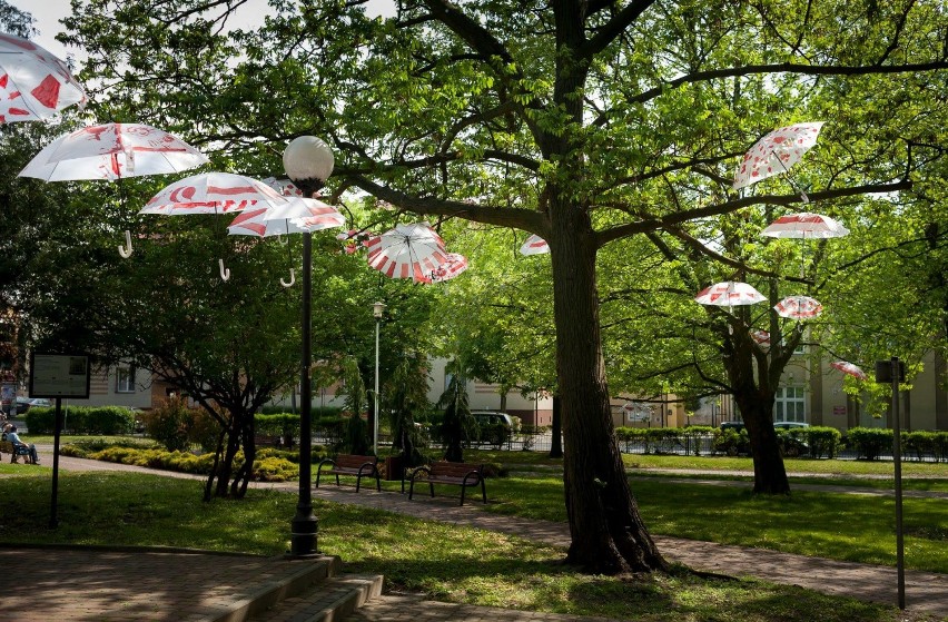 Parasolki pomalowane przez dzieci podczas święta flagi ozdobiły park przy Wieluńskim Domu Kultury[ZDJĘCIA]