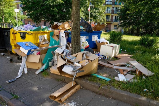 Zalegające śmieci w śródmieściu Gdańska to poważny problem