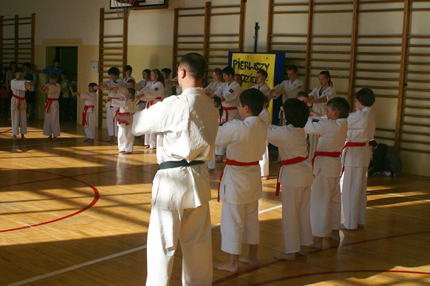 źródło: www.karate.limanowa.pl