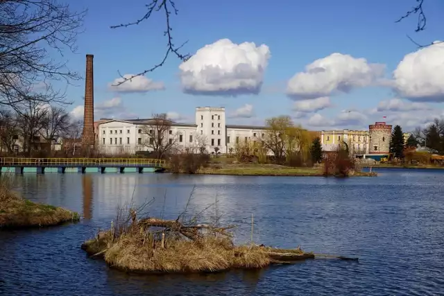 Każde miasto ma jakieś elementy, z których słynie. Mogą to być na przykład ulice, dzielnice, parki, miejsca wypoczynku czy pomniki. Wiele urokliwych zakątków znajdziemy w Kazimierzy Wielkiej. Wiecie z jakich miejsc znana jest stolica powiatu kazimierskiego? Przekonacie się na kolejnych zdjęciach.