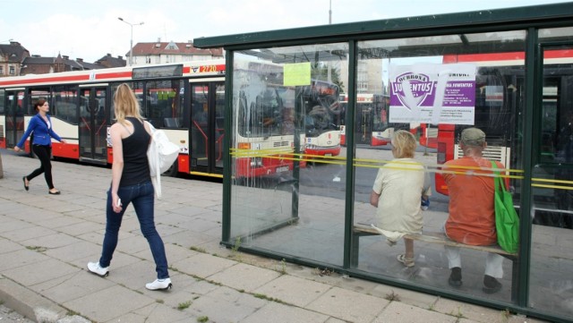 Minibusy linii 100 mają być alternatywą dla wielkich przegubowców