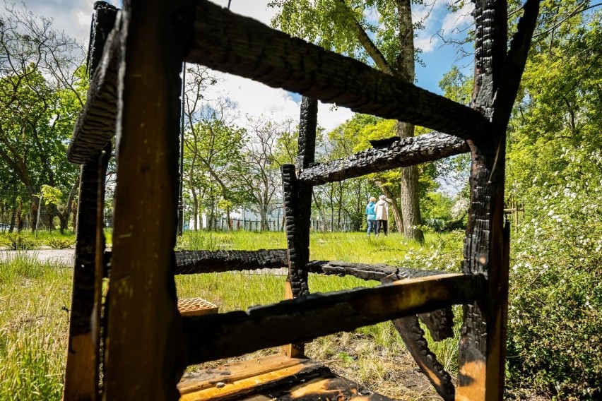 Zniszczono hotelik dla owadów z bydgoskiego parku Wolności [zdjęcia]