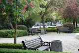Park z fontanną w Słubicach jest jeszcze piękniejszy. Zakwitły kasztany i... pojawiły się nowe ławki! 