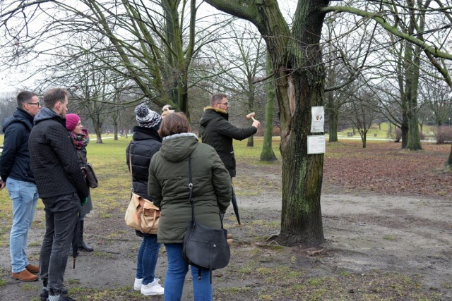 Warszawa wprowadza Kartę Praw Drzew. Miejskie jednostki będą informować o wycince