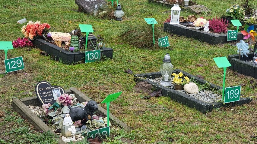 Cmentarz - grzebowisko dla zwierząt w Pile. Takich miejsc w Polsce nie ma zbyt wiele