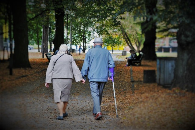 W poniedziałek, 10 października, rozpoczną się oficjalnie obchody XVIII Lubuskiego Tygodnia Seniora. Program obchodów jest różnorodny i skierowany nie tylko do seniorów