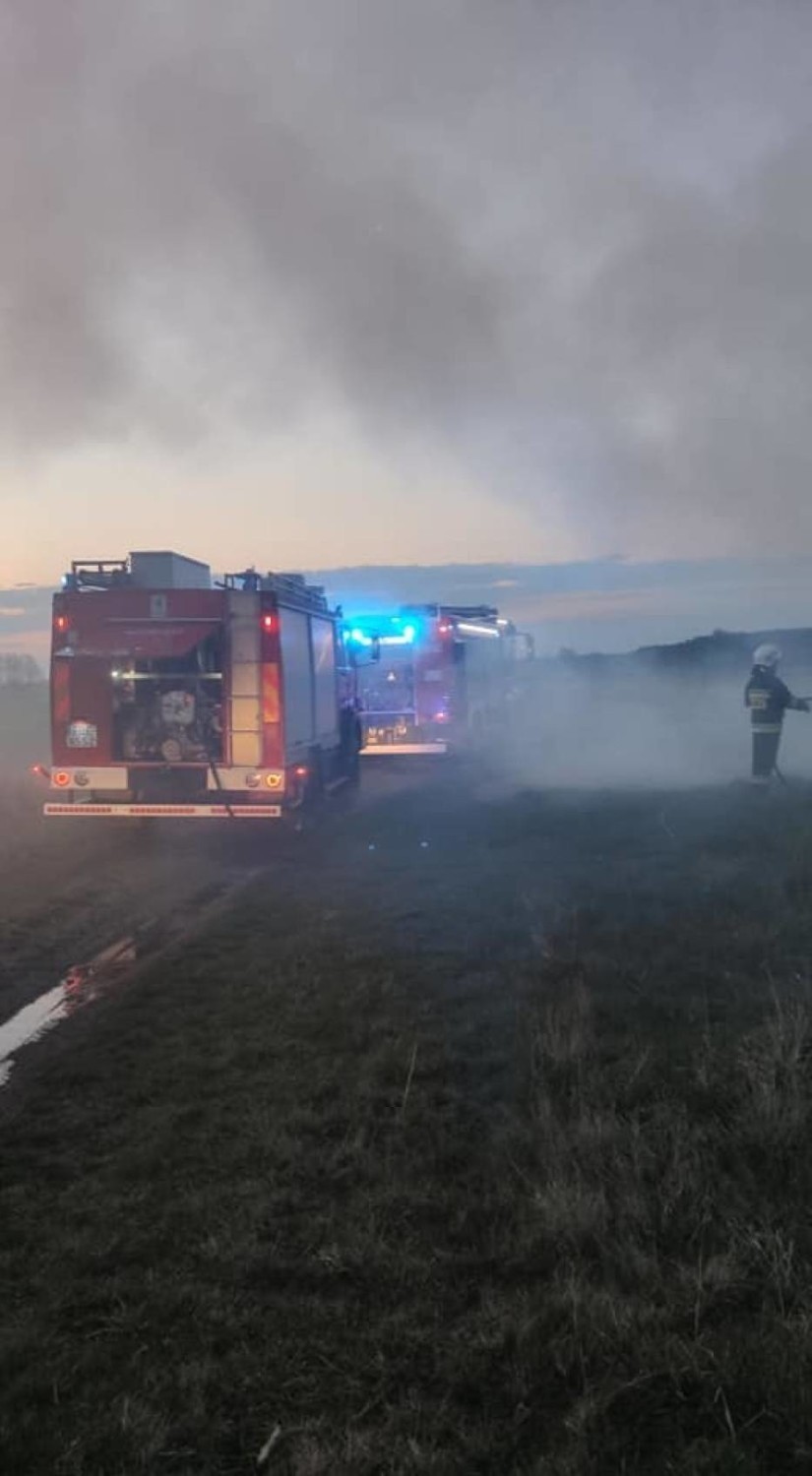 Lubił oglądać, jak coś się pali. Zatrzymała go policja ZDJĘCIA