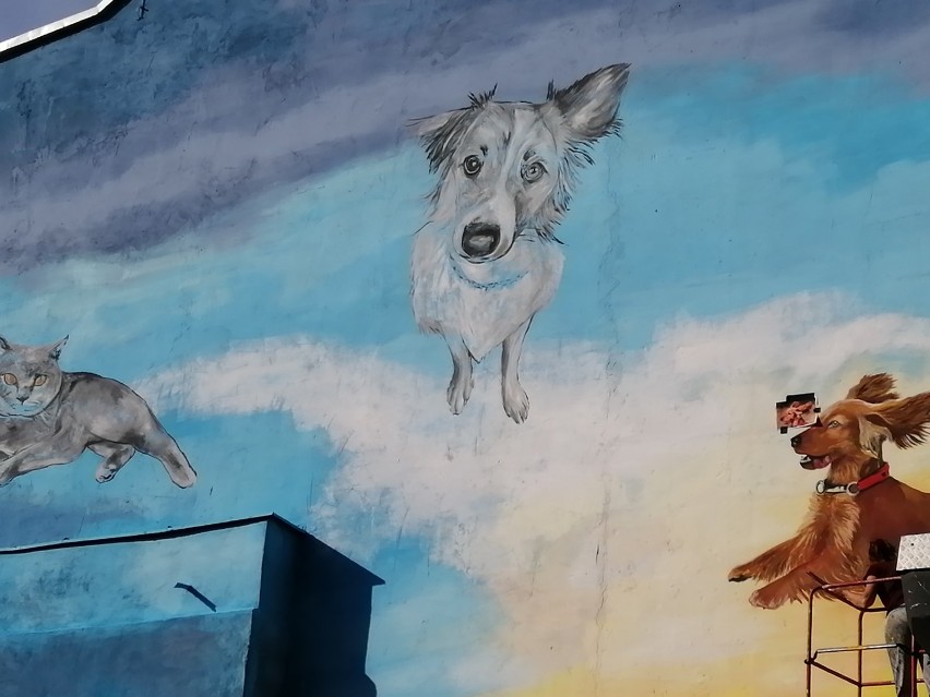 Trzy murale w centrum Wałbrzycha rosną w oczach [ZDJĘCIA]