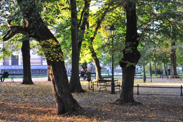 12.10.2018 krakow
jesien _las wolski  _ krakowskie planty
n/z: krakowskie planty
fot: adam wojnar/polska press/gazeta krakowska