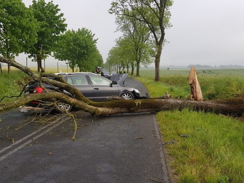 Na drodze Człuchów - Polnica pod Kiełpinkiem samochód uderzył w drzewo, które złamało się i spadło na pojazd