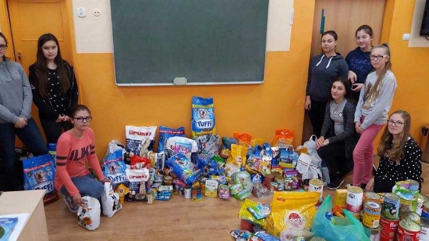 Uczniowie SP 9 w Malborku pomogli Reksowi. To była rekordowa zbiórka karmy dla psów i kotów