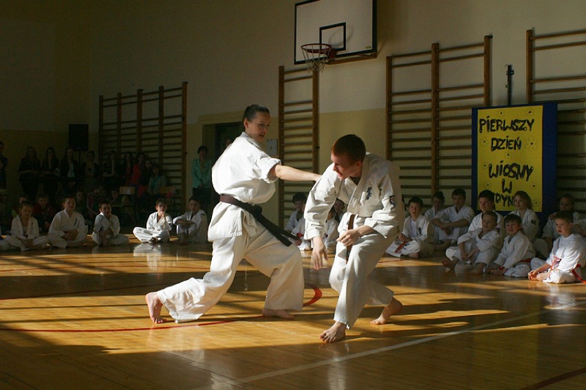 źródło: www.karate.limanowa.pl