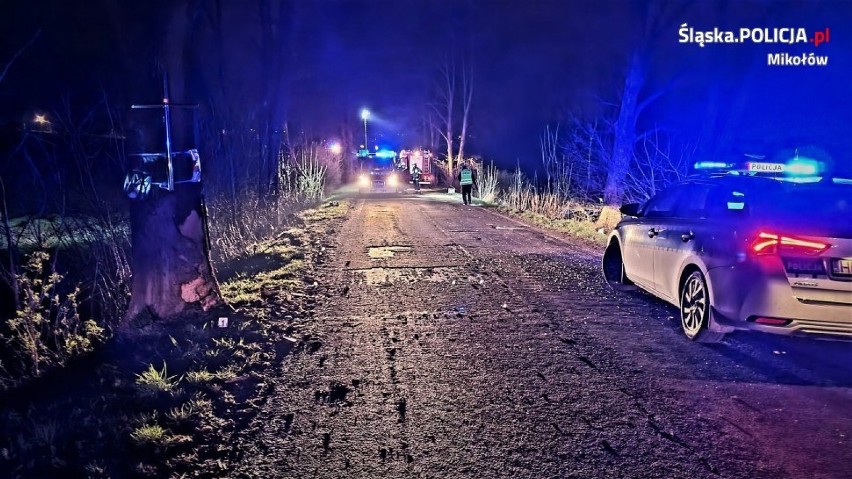 Wypadek w Mikołowie. 20-latek fiatem pandą uderzył w drzewo