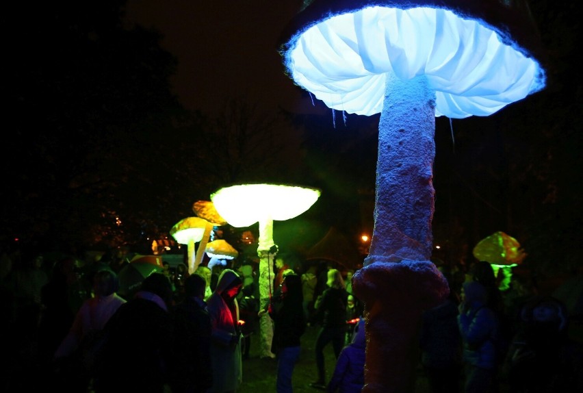 Festiwal światła w Łodzi odbędzie się jesienią. Organizatorzy bajecznej imprezy podali termin tegorocznej odsłony festiwalu