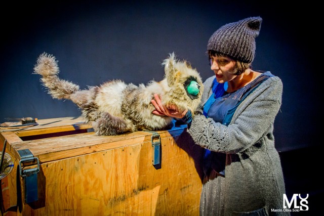 Sztukę o kocie Zen, który szukał ciszy w teatrze obejrzycie w Zdrojowym Teatrze Animacji 11,12 i 13 lutego o godz. 10