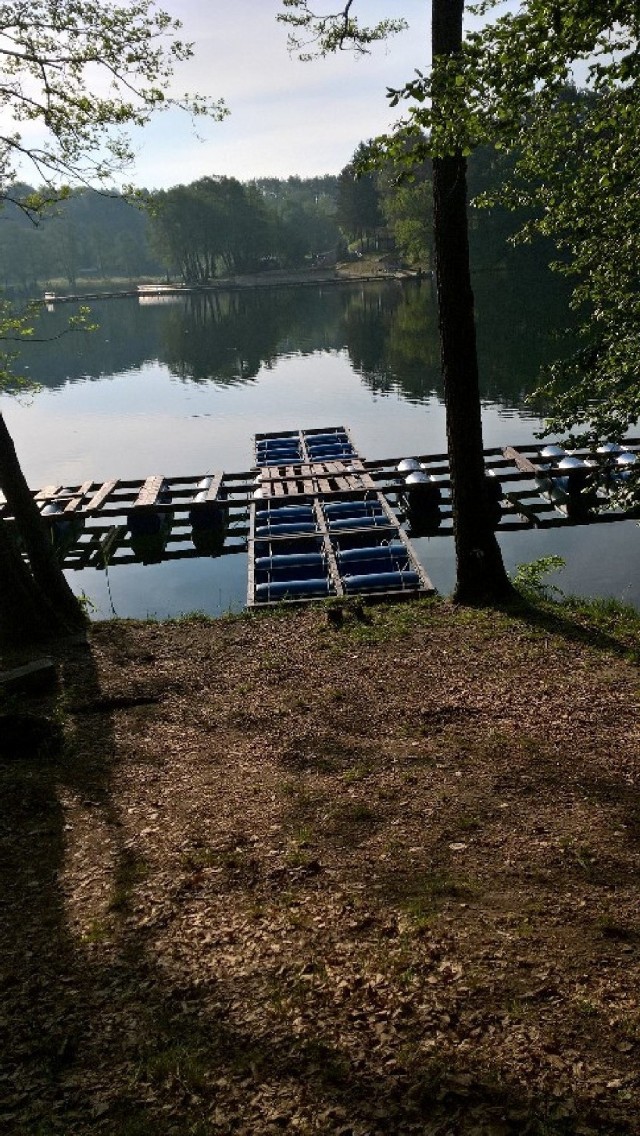 Pomost dla rowerów wodnych na jeziorze Łagowskim. Tuż obok zwaliło się drzewo