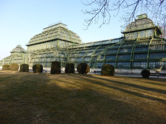 Zbudowana na życzenie cesarza Franciszka J&oacute;zefa w roku  1882 wiedeńska palmiarnia (Palmenhaus ) mieści się w parku przy letnim pałacu Sch&ouml;nbrunn.   Foto: Cecylia Markiewicz