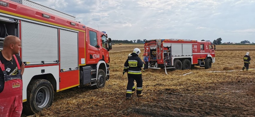 Kolejne pożary pól w powiecie gnieźnieńskim. Interweniowały...