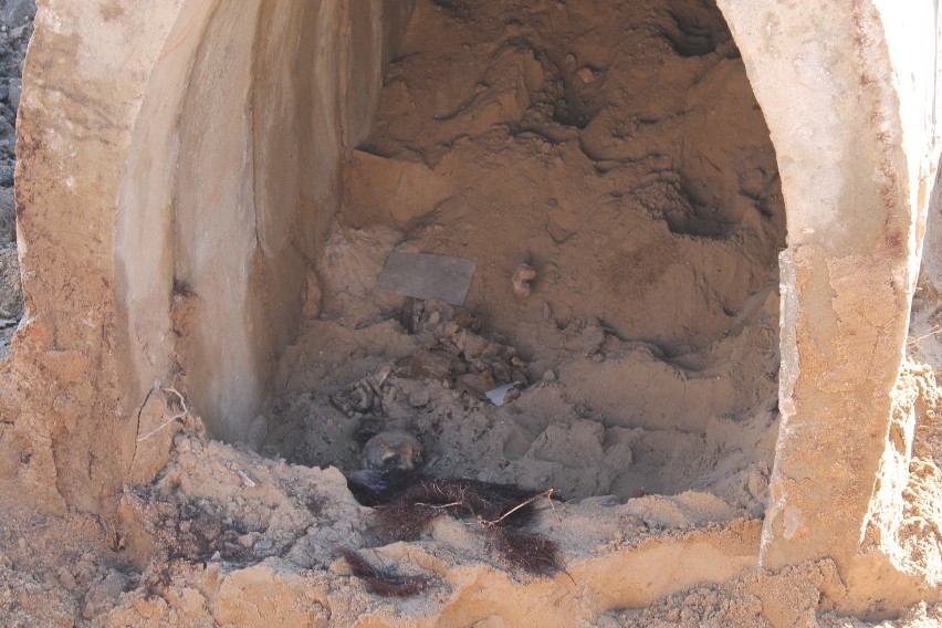 Trwa ekshumacja w Tomaszowie: Do poniedziałku znaleziono trzynaście ciał 