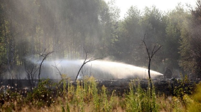 Pożar lasu na Olechowie w Łodzi