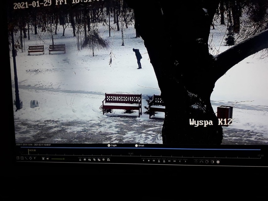 Zduńskowolanie lekceważą ostrzeżenia i wchodzą na lód na stawach w parku. Wszystko widzą kamery Straży Miejskiej