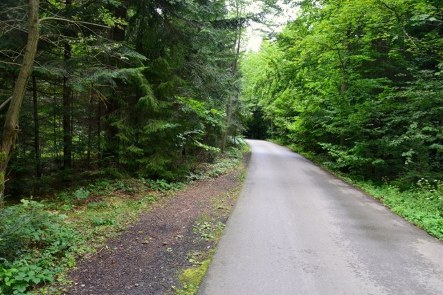 Od Przełęczy Jaworzyca szlak czerwony prowadzi drogą asfaltową do zabudowań jednego z licznych przysiółków Węglówki.