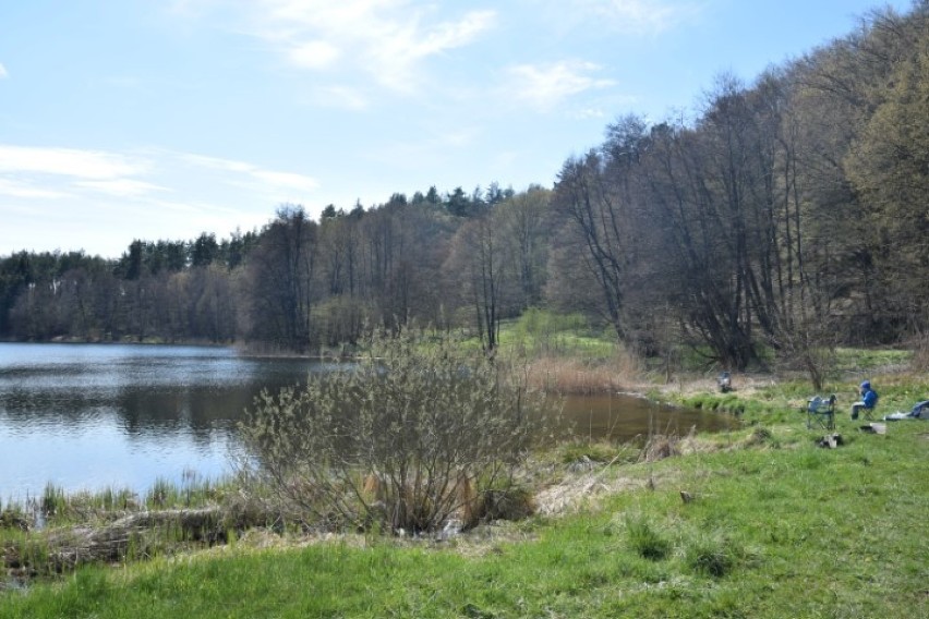 Jezioro Krawusińskie i piękna przyroda zachęcają do spacerów 