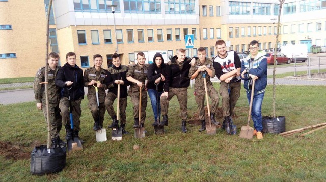 Uczniowie "drzewniaka" sadzili drzewa przy Szpitalu Powiatowym w Radomsku