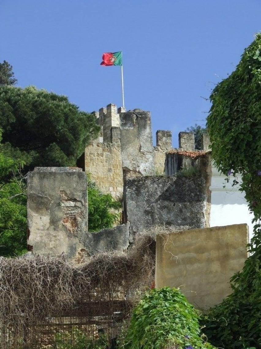 Dumnie powiewająca flaga Portugalii. Fot. Robert Wojteczek