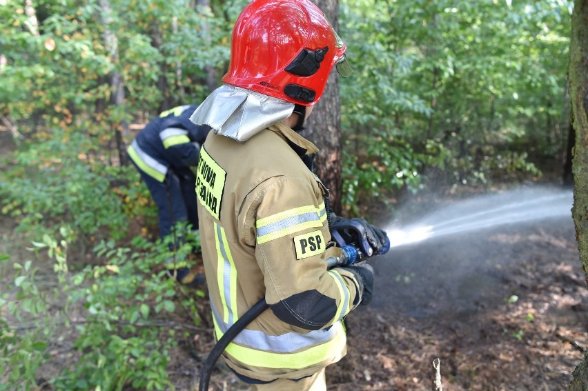 Żołnierze WOT wypatrzyli pożar w lesie na Grzybowie i wezwali strażaków [ZDJĘCIA]