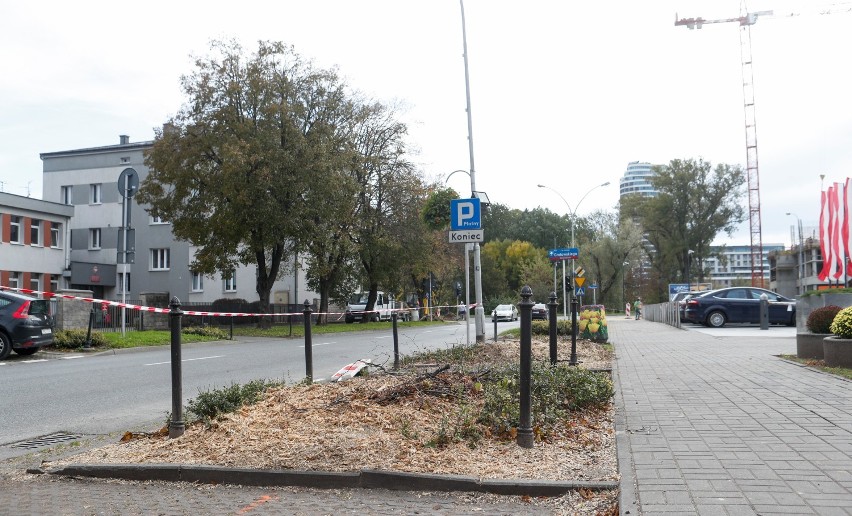 Drzewa przy Słowackiego w Rzeszowie wycięte. Nie pomogły protesty mieszkańców. Miasto: Petycja przyszła zbyt późno