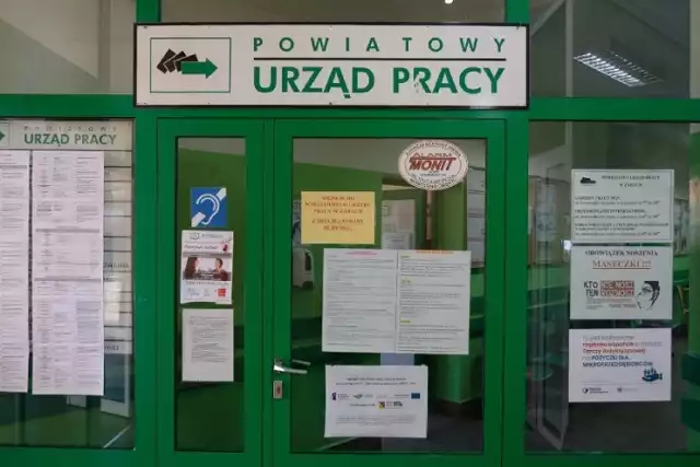 Najnowsze oferty pracy z Powiatowego Urzędu Pracy w Żarach