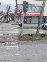 Wjechał autem w sygnalizację świetlną w centrum Zduńskiej Woli. Szybko znaleźli go strażnicy miejscy ZDJĘCIA, FILM