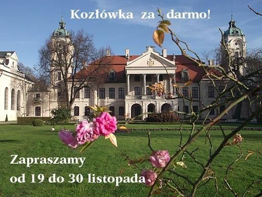 Do końca listopada za darmo można zwiedzać Muzeum w Kozłówce