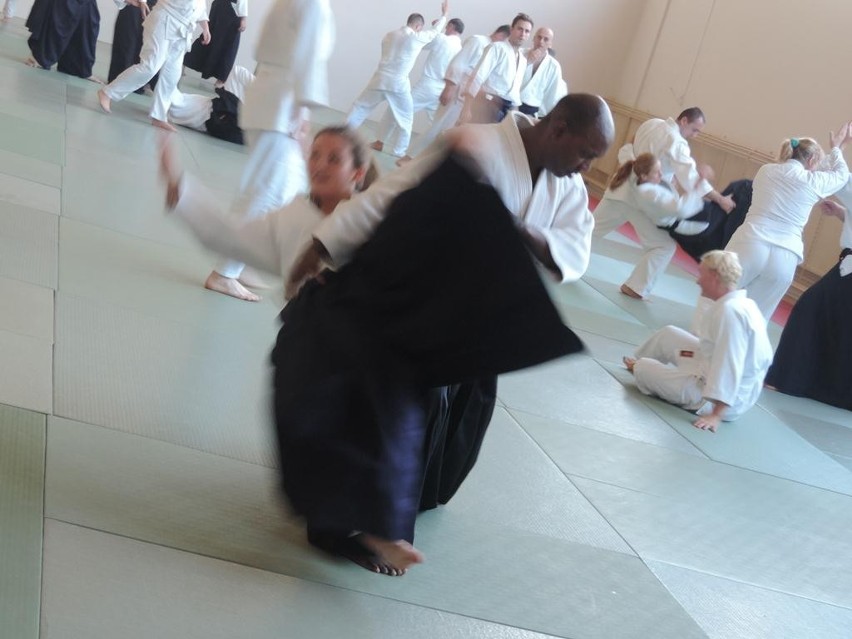 Letni obóz aikido w Złotowie
