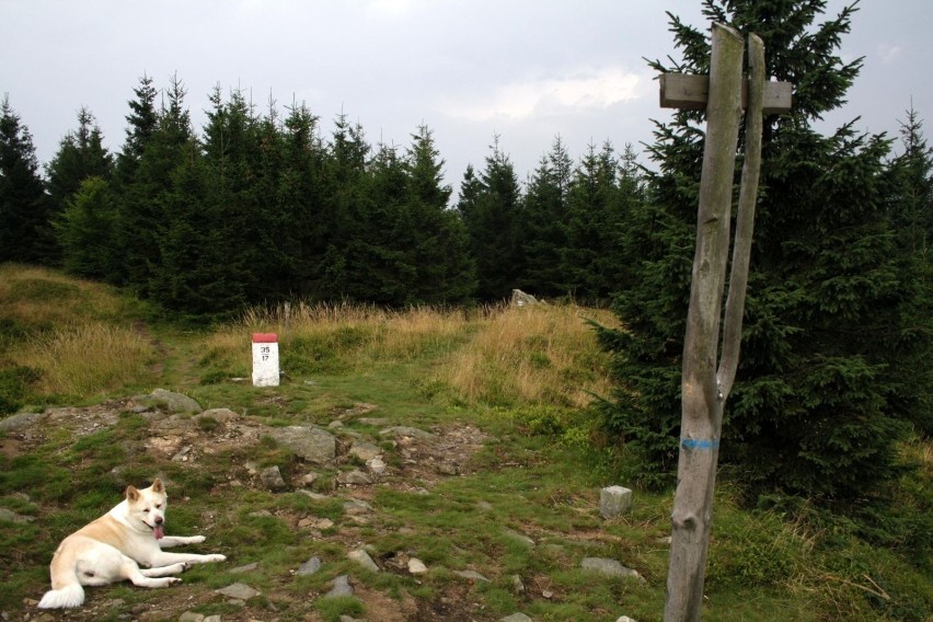 W końcu docieramy na wierzchołek Kowadła (989 m npm). fot....