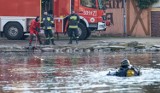 Makabryczne odkrycie w centrum Bydgoszczy. Z wody wyłowiono ciało kobiety