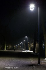 Nowe, stylowe latarnie stanęły na alei Słowiczej [zdjęcia]