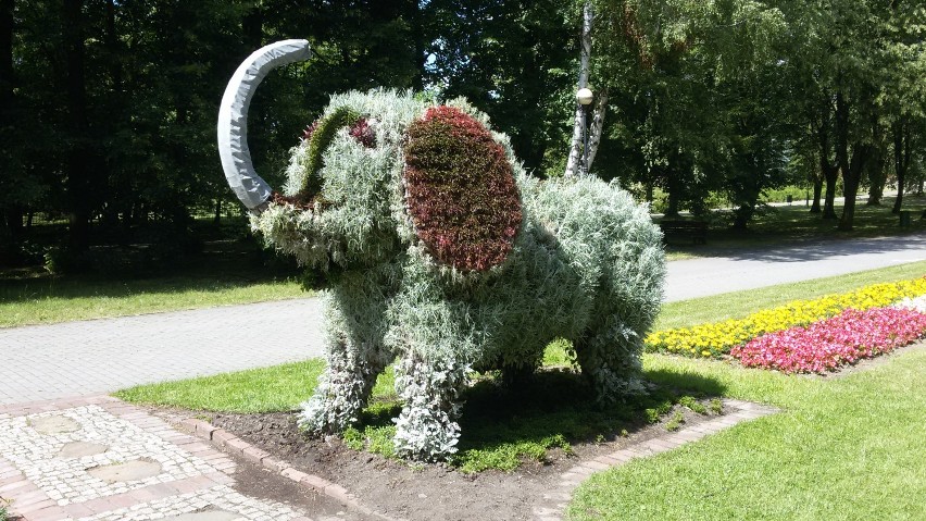 Galeria kwiatowych rzeźb w Parku Śląskim [ZDJĘCIA]