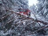 Pod naporem śniegu w powiecie zawierciańskim łamią się drzewa. Strażacy mają dużo pracy