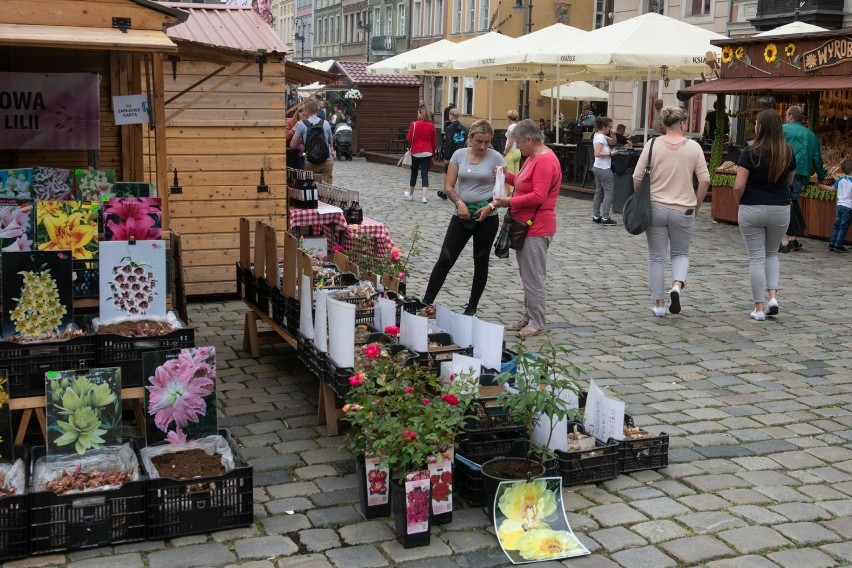 Na poznańskim Starym Rynku stanęło mnóstwo drewnianych...