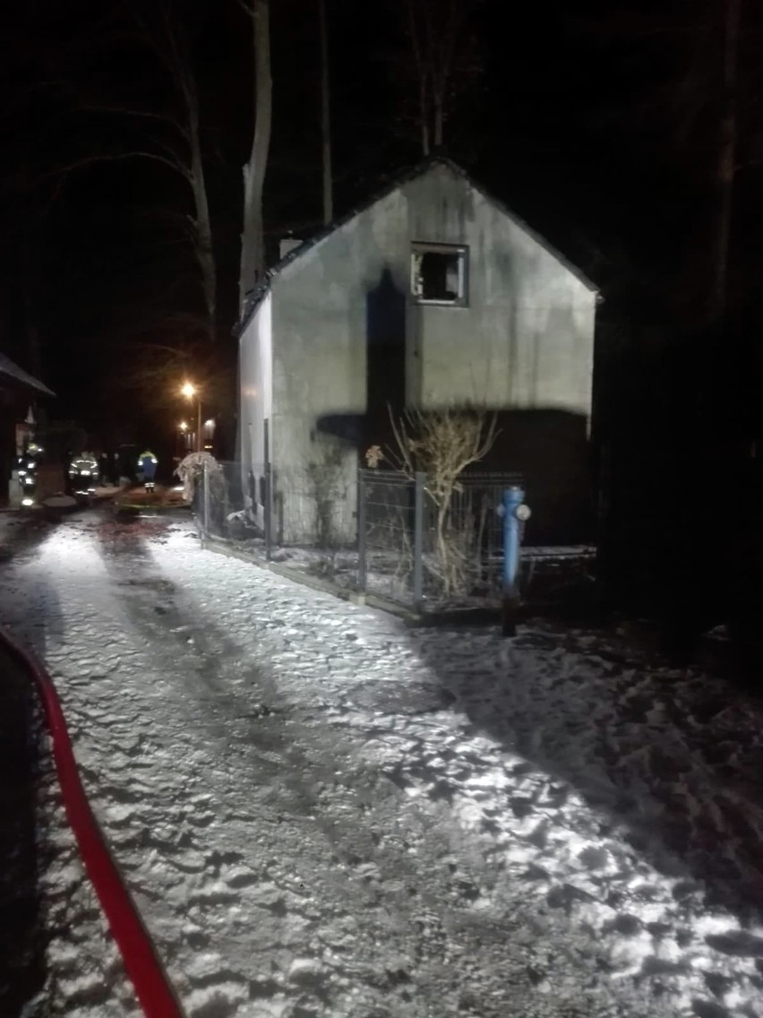 Pożar domku letniskowego w Morzyczynie nad Miedwiem. ZDJĘCIA