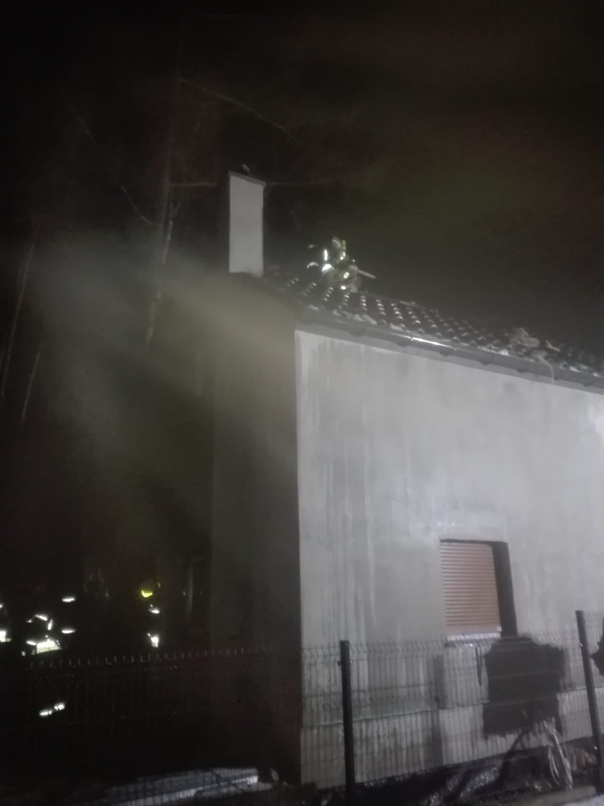 Pożar domku letniskowego w Morzyczynie nad Miedwiem. ZDJĘCIA
