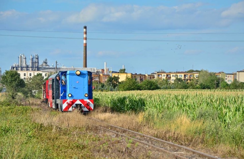 Grupa Kaliska Kolej Dojazdowa Wolontariat porządkuje okolice torów kolei wąskotorowej w Zbiersku i okolicach. Potrzebne są pieniądze