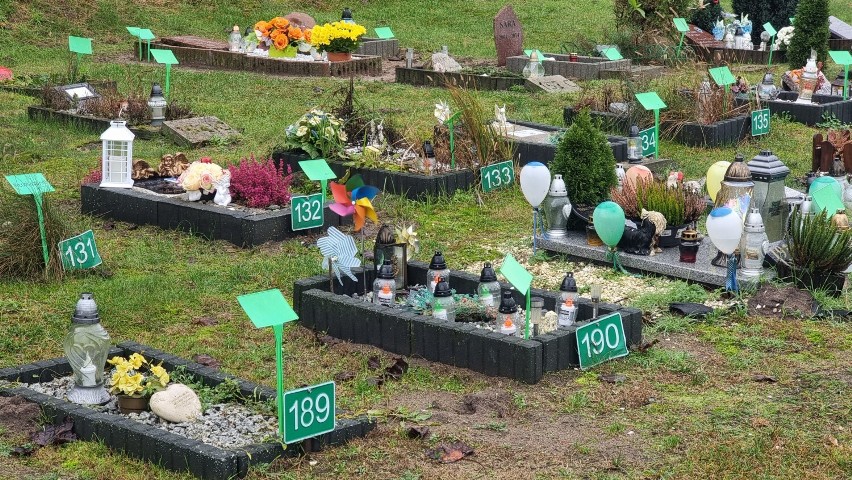 Cmentarz - grzebowisko dla zwierząt w Pile. Takich miejsc w Polsce nie ma zbyt wiele