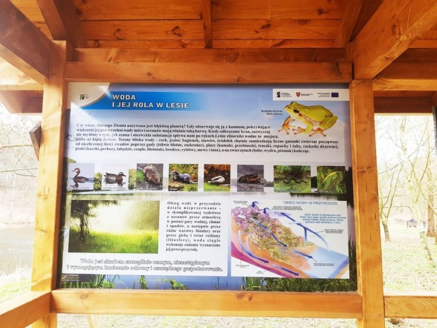 Powstaje ścieżka dydaktyczna: „Woda i Ryby” w Obornikach
