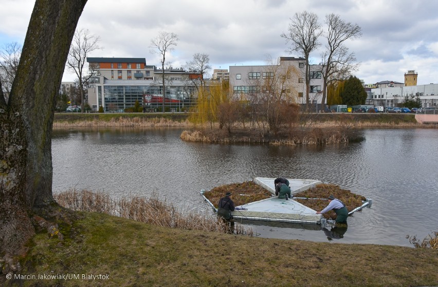 Miasto montuje platformy