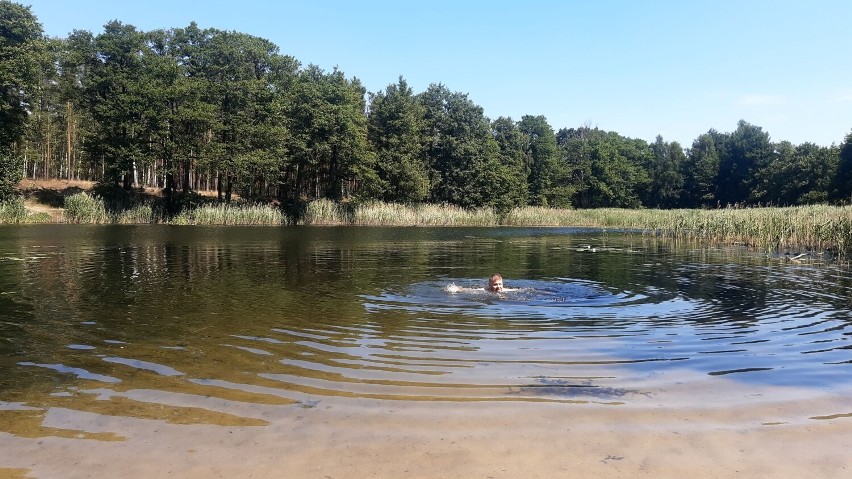 Leśne jeziorko niedaleko Chociemyśli