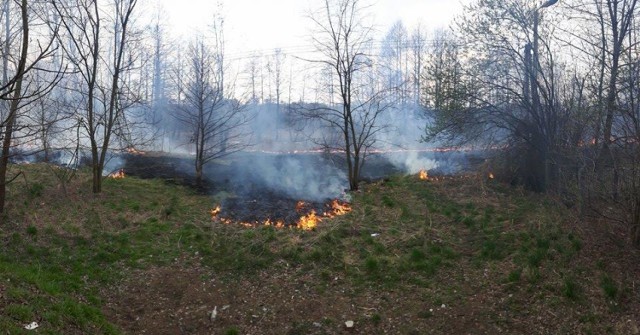 W okolicy dworca kolejowego w Żorach pożar trawy rozciągnął się na obszarze ok. 1 hektara