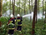 Pożar lasu w powiecie malborskim? To się nie zdarza, ale strażacy przećwiczyli taki scenariusz